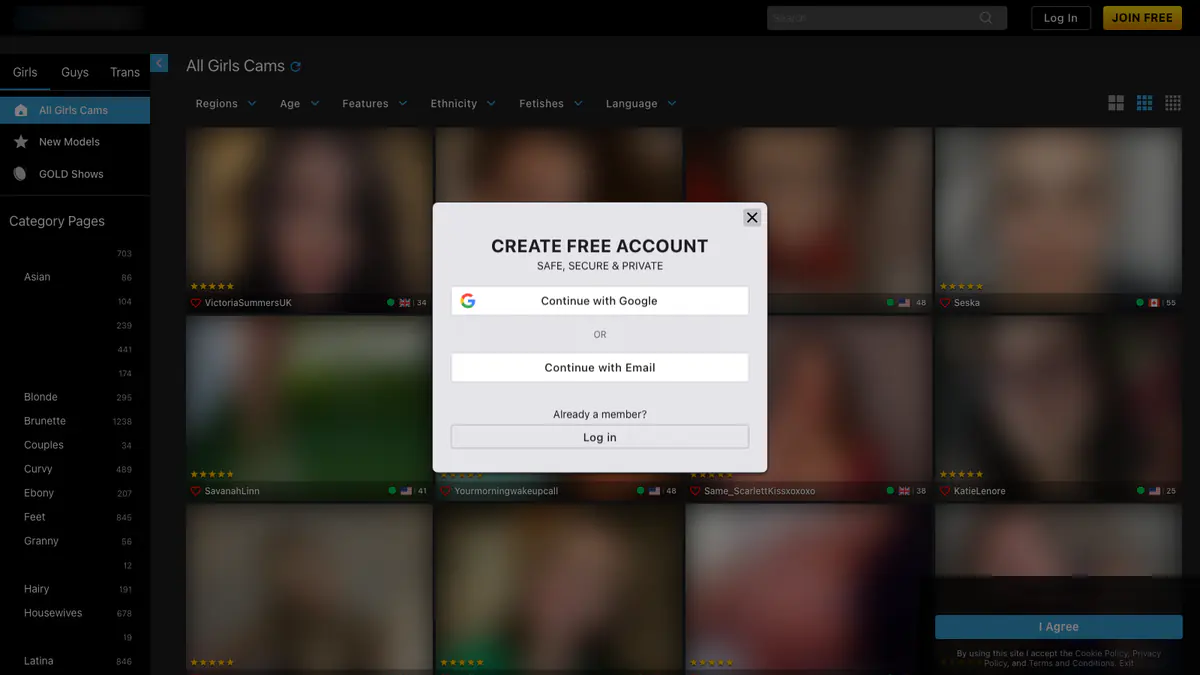 Streamate Video Downloader browser extension screenshot 2