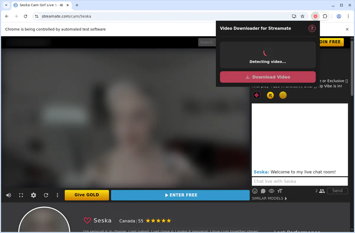 Streamate Video Downloader browser extension screenshot 4