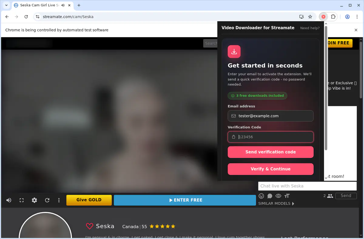 Streamate Video Downloader browser extension screenshot 5