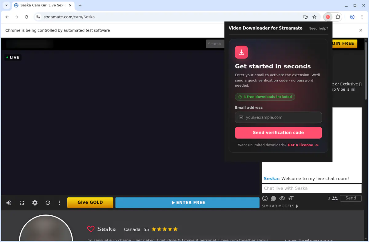 Streamate Video Downloader browser extension screenshot 6